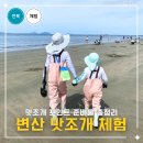 새만금관광안내소 | 변산 해수욕장 맛조개 체험, 포인트와 준비물 총정리 직접 다녀온 후기