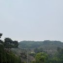 2388 | 수도권 2인 노캐디 골프장 포천 포레스트힐CC 5월 주말 라운딩 후기