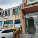 욜로 제주 게스트하우스 이미지