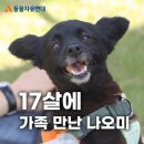 17살에 가족을 만난 노견 나오미 / 사지마세요, 입양하세요!