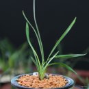 안목안경 이미지