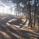 동해시-51 이미지