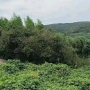 KS공인중개사사무소 이미지