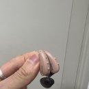 시그니아독일보청기 동작센터 이미지