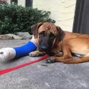 민수농장 이미지