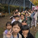 선 태권도장 이미지