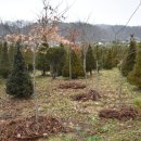 신평농장2 이미지