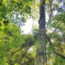 방주환경자원 이미지