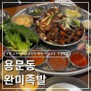 용문역 | 대전 용문역 족발 맛집 완미족발 대전용문역점 후기｜남도 한상 족발 오마카세 반반족발 추천