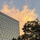 부여국민체육센터 스크린야구장 | 2026학년도 서울대 후기 모집 1 aka 글로벌인재전형 서울대 26.5학번 되기