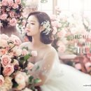 다가온스튜디오 이미지