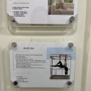 크로스핏 530 | 챈필라테스 운동일기 구래동필라테스 효과 후기 크로스핏 수행능력까지 끌어올린 챈필라테스