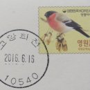 고양화전16 이미지