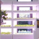 T2카페테리아 이미지