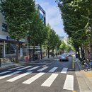 서래마을이야기 이미지