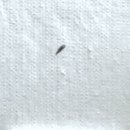 하얀집 화장실 이미지