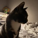 헤븐밸리2 이미지