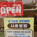 레스트육이삼