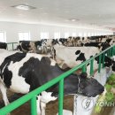 중앙가축약품 이미지