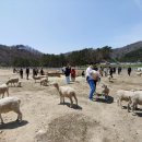 상은목장 이미지