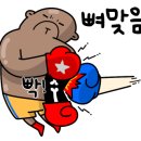 드래곤복싱클럽 백마점 이미지