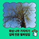 화성2리 | 화성 나무 가지치기 업체 전문 벌목 임업