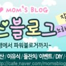 웰빙그린 네이버블로그
