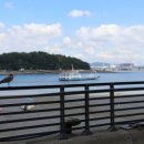 완도회수산 이미지