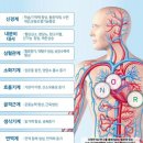 산화2 이미지