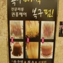 뉴 헤어월드