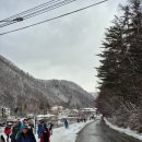 인정사슴목장 이미지