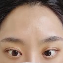 참하다뷰티