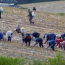 임금축산 이미지