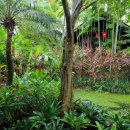 나비농장 이미지