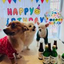 호텔스 컴도그 이미지