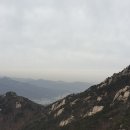 용아로 이미지