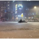 강남숲정신건강의학과의원 이미지