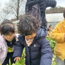 영창농장 이미지