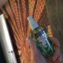 판타지모텔 이미지