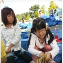 대지초등학교 이미지