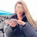 효도민박 | 제주도 서쪽 여행 코스 중국인 없는곳 2박3일 다녀왔어요