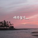 내려놓기 Daum카페
