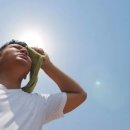 인사이트 이미지