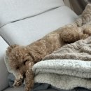 다송로72번길 이미지