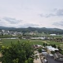평창 봉평 이효석 문학관 그리고 효석달빛언덕 | 주차, 볼거리, 소요시간[평창 가볼만한곳]