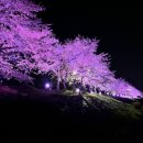 회야강변 이미지