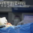 임재성동물의료센터 이미지