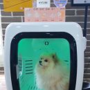 하이스토어 주식회사