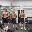 메이트짐 이미지