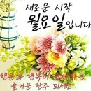 송광호노래교실 /10월첫째주수업날/유현상님신곡 ♡청춘응원가♡ 이미지